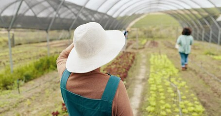 Wall Mural - Greenhouse farming, agriculture and back of woman with sustainable business in nature for quality check. Industry, plant or behind female farmer outdoor with greenery, leaf or agro growth inspection