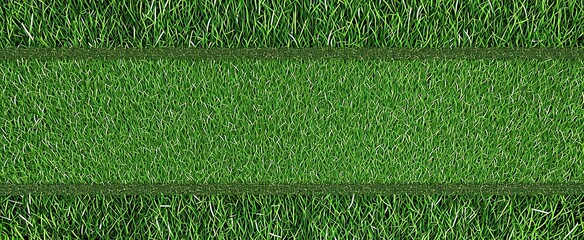 Canvas Print - green grass background