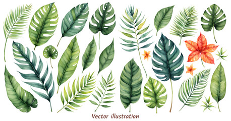 Wall Mural - Exotic plants leaf set on an isolated white background, watercolor vector illustration. Wedding frame elements collection. Elegant foliage design for wedding, card, invitation, marriage printing
