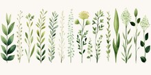Forest Green Several Pattern Flower, Sketch, Illust, Abstract Watercolor, Flat Design, White Background