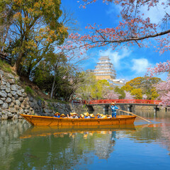 Poster - Himeji castle moat boat tour during full bloom cherry blossom in Hyogo, Japan