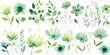 Leinwandbild Motiv Green several pattern flower, sketch, illust, abstract watercolor, flat design, white background