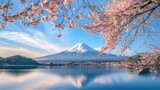 Fototapeta  - cherry trees and Mount Fuji