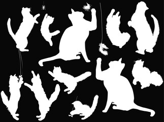 Wall Mural - playing eleven isolated white cats on black