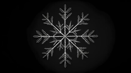 Wall Mural - A delicate snowflake captured in a single line drawing.