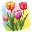 watercolor tulips vector illustration