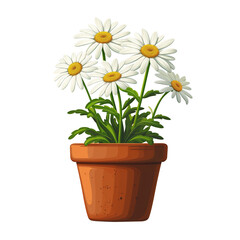 Wall Mural - White daisies illustration in pot isolated on transparent background