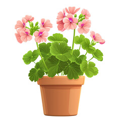 Wall Mural - Geranium plant in pot isolated on transparent background
