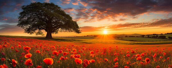 Canvas Print - Poppy Fields. Sunset Blooms