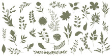 Set Of Elegant Silhouettes Of Flowers, Branches And Leaves. Thin Hand Drawn Vector Botanical Elements
