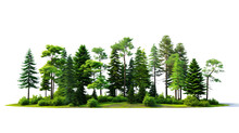 Green Evergreen Fir Pine Spruce Trees Treeline Isolated On Transparent Background