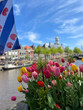 Tulips with a frisian flag at the canal in Dokkum