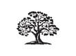 Single big Oak tree and leaves silhouette. Hand Drawn Old Oak Tree Vintage Vector Illustration