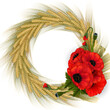 Template for wedding, greeting or invitation card with wheat ear wreath and poppy flowers isolated
