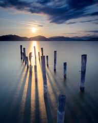 Wall Mural - Long shadows