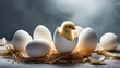 Viele weiße Eier und eine Eierschale aus der ein gelbes  Küken schlüpft mit neutralem Hintergrund und Freifläche