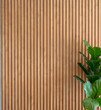 A portion of a lush fiddle leaf fig plant presented in front of vertical bamboo wooden slats, showcasing a blend of nature and modern design..