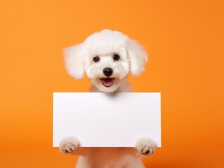Wall Mural - White puppy dog holding blank sign on orange background