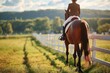 A beautiful bay horse with a rider in the saddle walks in a paddock with a white fence on a sunny summer day. Equestrian sports. Horse riding.
