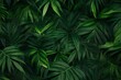 Tropical green leaves background,  Nature backdrop,  Flat lay, top view