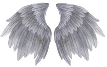 Watercolor Grey Angel Wing Illustration. Hand Painted Wing With Grey Feathers For Prints, Banners