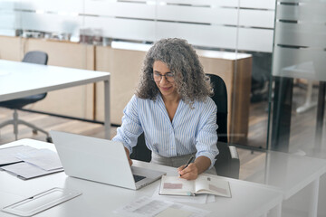 Busy mature middle aged business woman, older senior gray haired professional executive writing notes elearning online working on laptop computer device sitting at desk in office. View through glass.