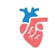 Human anatomy internal organ set with brain lung intestine heart kidney liver and stomatch