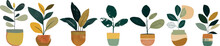 Set Of Indoor Leaf Plant In Pot. Simple Flat Hand Drawn Plants Elements Illustration