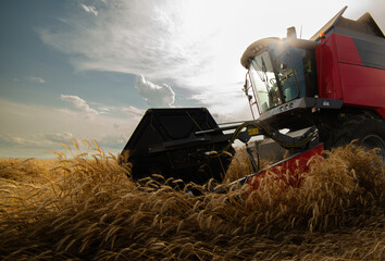 Wall Mural - Harvester working in wheatfield at sunset.