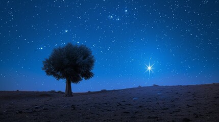 Wall Mural - Bright epiphany star in night sky, adoration of baby jesus, copy space, blurred background