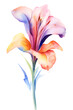 Eine bunte Aquarell Blume, Lilie 