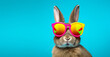 Cute Easter bunny wearing trendy neon sunglasses. Trendy advertising banner poster with blue background