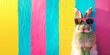 Easter banner vibrant colors. Cute Easter bunny wearing trendy pink sunglasses