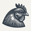 Rooster Head. Vintage woodcut engravings style vector illustration.