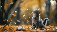 Happy Cat Play With Autumn Leaves In Public Park Wallpaper Background