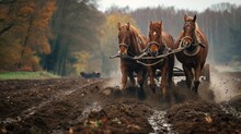  A Couple Of Horses Pulling A Plow In The Middle Of A Dirt Field In Front Of A Row Of Trees.
