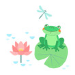 Cute green frog sits on water lily leaf in pond with blooming lotus flowers and looks at flying dragonfly. Vector baby illustration on white isolated background.