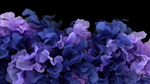  A Close Up Of A Bunch Of Flowers On A Black Background With A Black Background And A Black Back Ground.