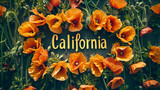 Fototapeta  - California flat lay with state flower poppies