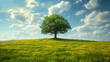 © Super Stocks - single big oak tree in field with perfect treetop