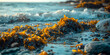Closeup of yellow seaweed in the water on the ocean shore