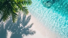 Palm Leaf Beach With Seashore Pure Water Sea And White Sand. Top View Of Water Surface With Tropical Leaf Shadow. Shadow Of Palm Leaves On White Sand Beach. Beautiful  Background 