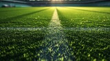 Fototapeta Sport - soccer and football field with morning ray