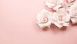 © candra - beautiful white roses on a pink background