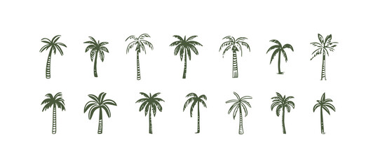 Hand drawn palm tree doodle element set. Colorful hawaiian clipart, isolated summer vacation collection in vintage art style. Tropical plant painting illustration bundle.