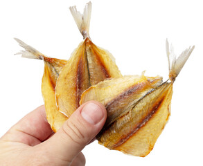 Sticker - Dried horse mackerel fish in hand on a white background