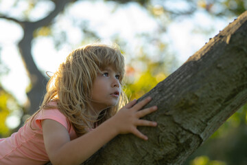 Sticker - Kid boy playing and climbing a tree and hanging branch.