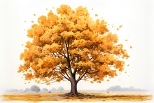 Autumn Tree With Yellow Leaves On White Background. Watercolor Illustration
