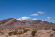 Désert du Mojave à Death Valley, Californie, USA. Plaine de cailloux bordée de montagnes et parsemée de buissons secs sous un ciel bleu et nuageux le long de la Racetrack Road.