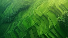 AI Generated Illustration Of Rice Paddies On A Slope Backdrop